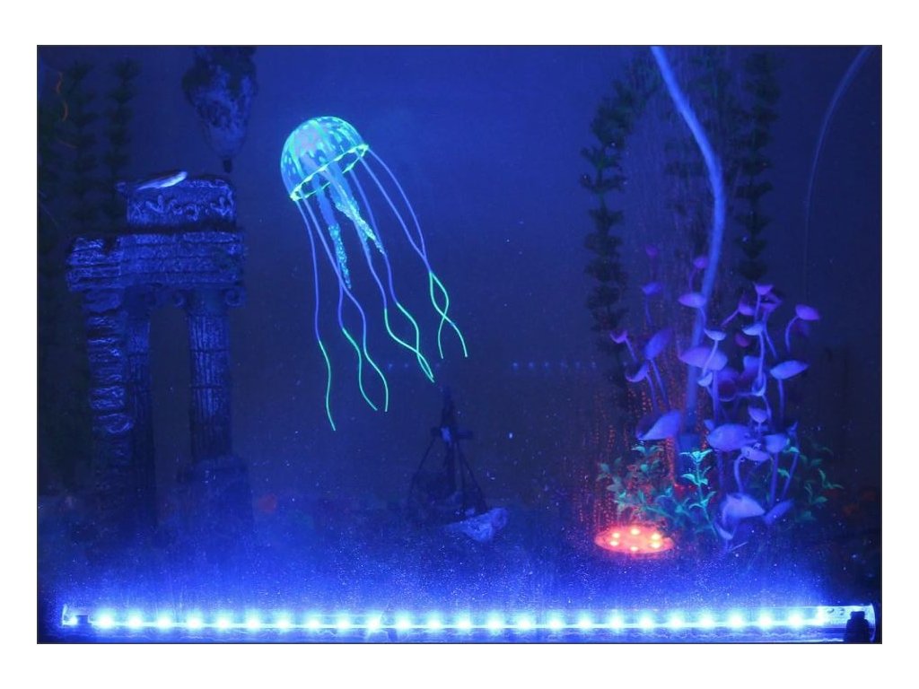 recenze Ponorný LED osvětlovač do akvária jen za 269 Kč ✅| Vyberte si Vše pro zvířátka na Dudlu.cz